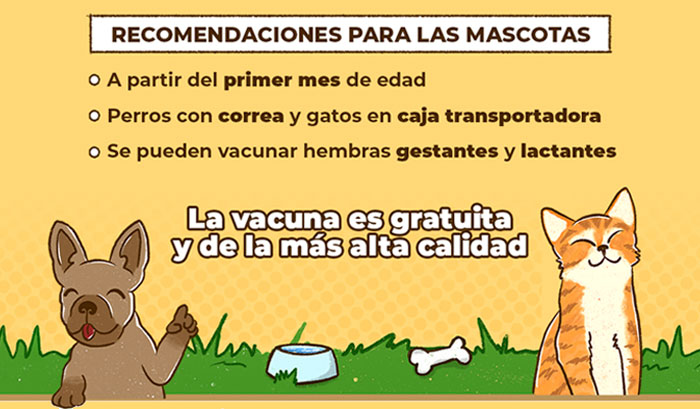 Vacunación Antirrábica 2023